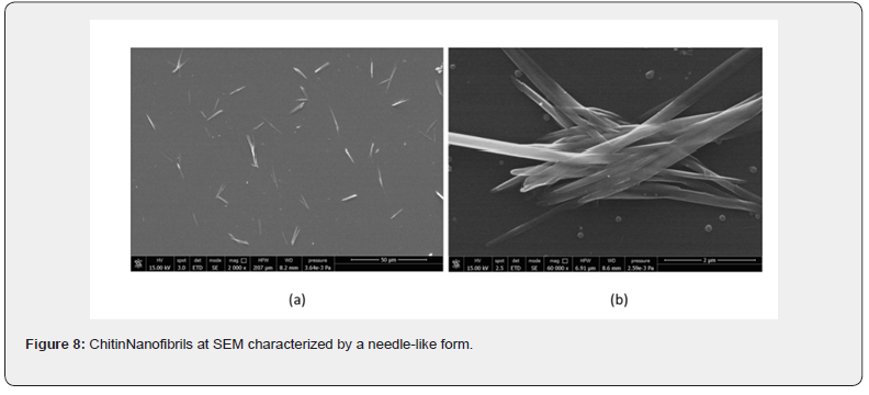 Click here to view Large Figure 8